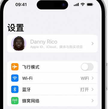 巴林右appleID维修服务iPhone设置中Apple ID显示为灰色无法使用 