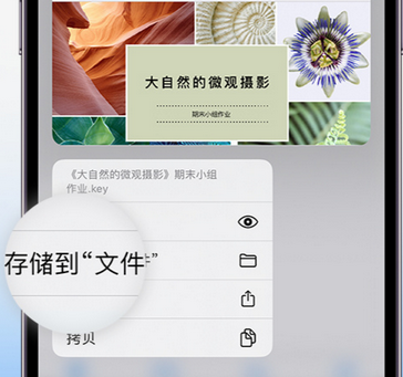 巴林右apple维修中心分享iPhone文件应用中存储和找到下载文件