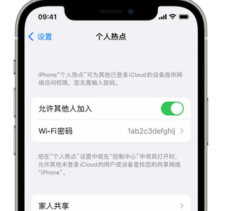 巴林右apple服务站点分享iPhone上个人热点丢失了怎么办 