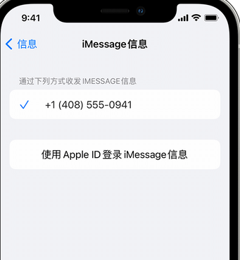 巴林右apple维修iPhone上无法正常发送iMessage信息 