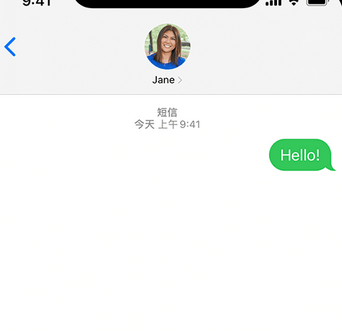 巴林右apple维修iPhone上无法正常发送iMessage信息