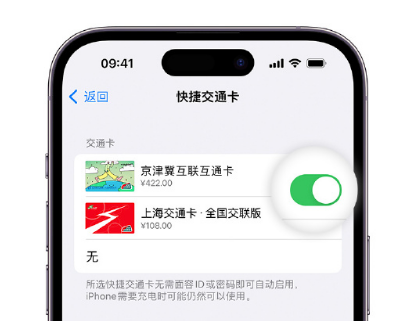 巴林右apple维修点分享iPhone上更换Apple Pay快捷交通卡手绘卡面 