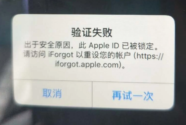 巴林右iPhone维修分享iPhone上正常登录或使用AppleID怎么办 