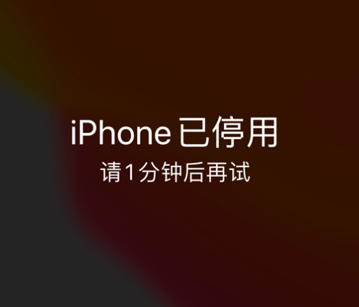 巴林右苹果手机维修分享:iPhone 显示“不可用”或“已停用”怎么办？还能保留数据吗？ 