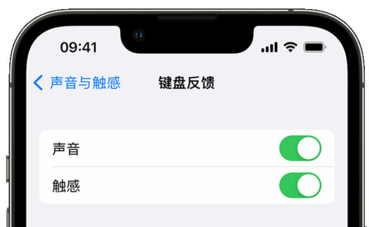 巴林右苹果手机维修分享iPhone 14触感键盘使用方法 