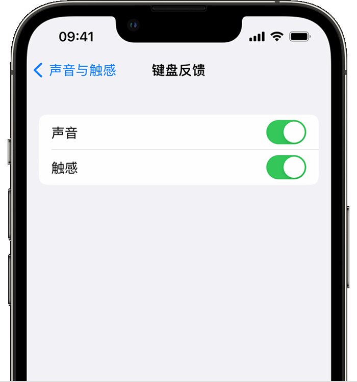 巴林右苹果14维修店分享如何在 iPhone 14 机型中使用触感键盘 