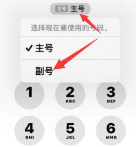 巴林右苹果14维修店分享iPhone 14 Pro Max使用副卡打电话的方法 