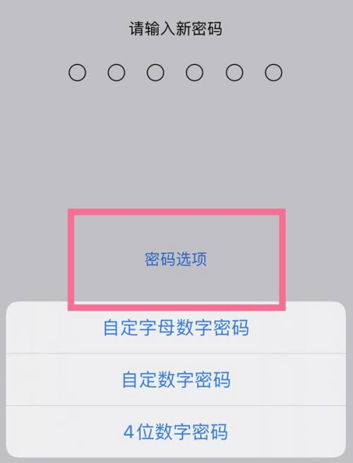 巴林右苹果14维修分享iPhone 14plus设置密码的方法 