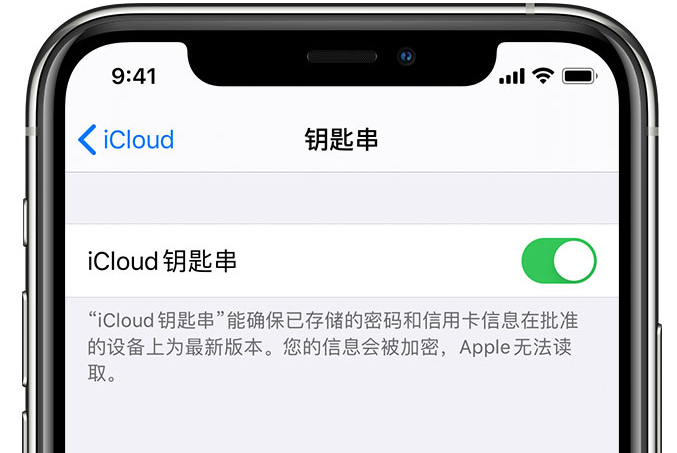 巴林右苹果手机维修分享在 iPhone 上开启 iCloud 钥匙串之后会储存哪些信息 