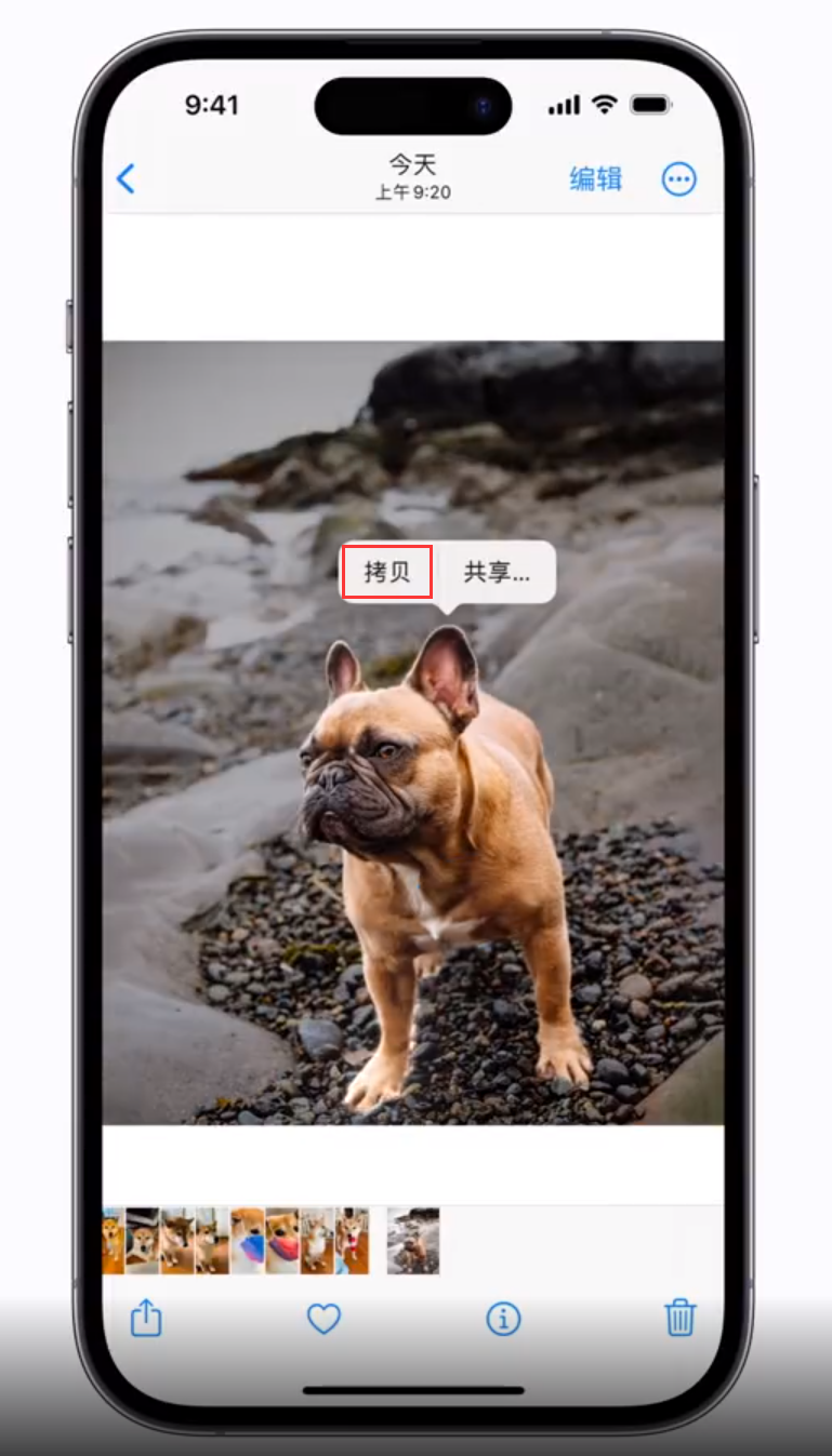 巴林右苹果手机维修分享 iOS 16 自带一键抠图功能 