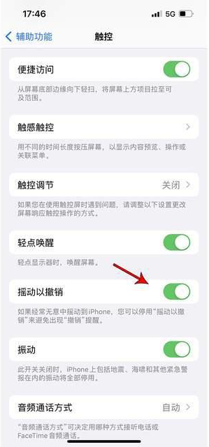 巴林右苹果手机维修分享iPhone手机如何设置摇一摇删除文字 