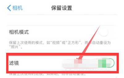 巴林右苹果13维修分享iPhone13拍照有绿点是怎么回事 