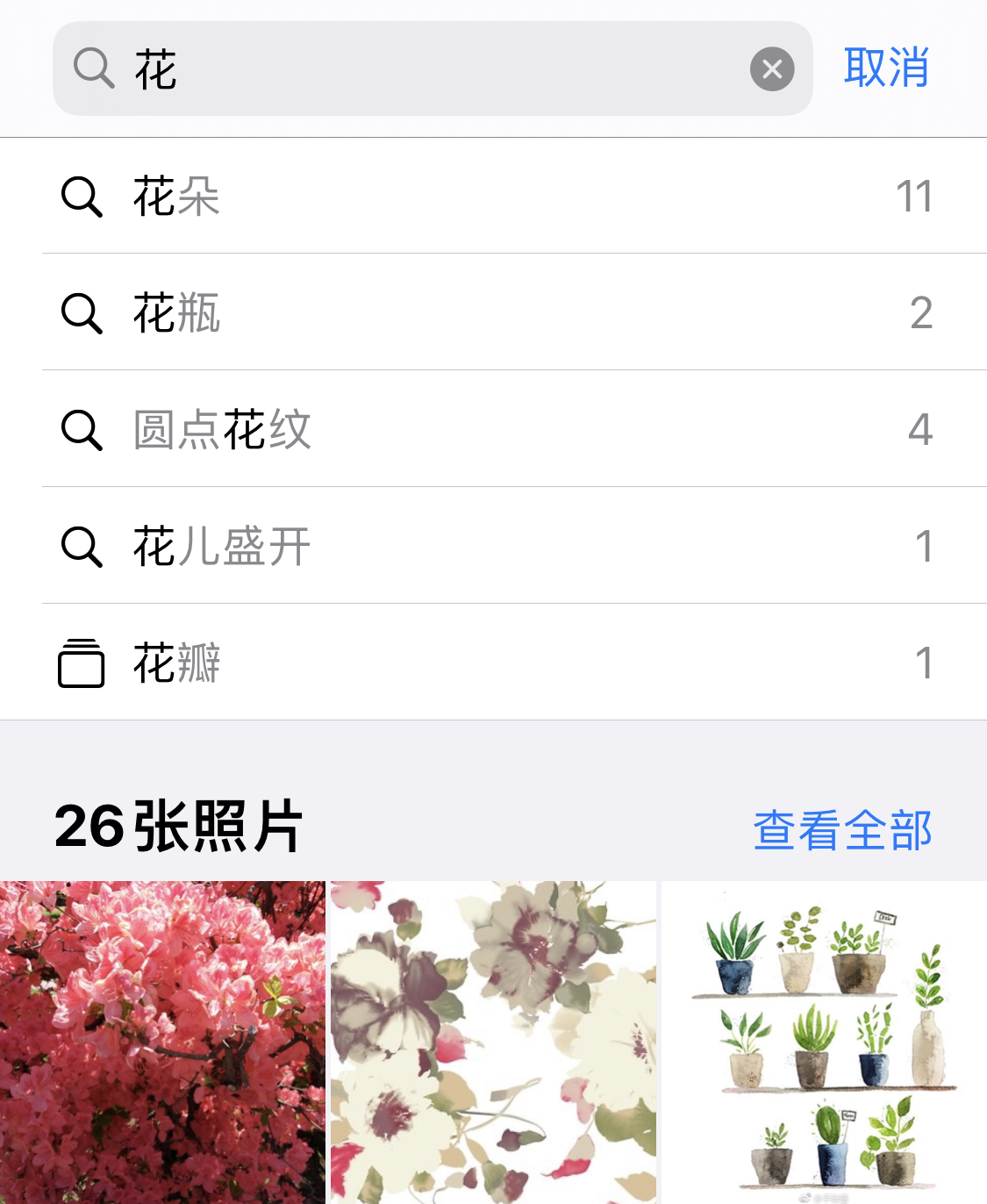 巴林右苹果手机维修分享iPhone 小技巧 