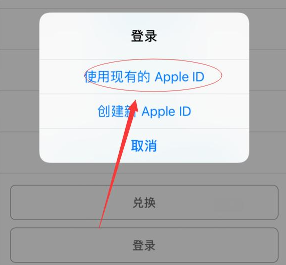 巴林右苹果手机维修分享两台iPhone设备可以同时登录一个Apple ID吗 
