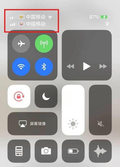 巴林右苹果手机维修分享为 iPhone 12 双卡设置标签 