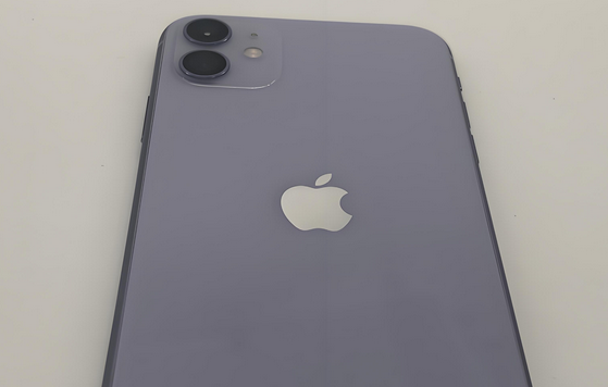 巴林右苹果11系统维修分享iPhone11手机系统崩溃无法开机如何解决 